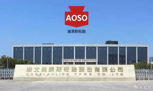 湖北奥莱斯轮胎